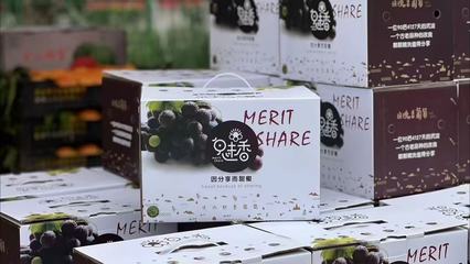 从大学生到“葡萄王子” 周新杰的乡村振兴致富经