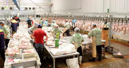 新疆洛浦 白条鸭“飞”进北京，互联网销售铺就特色农产品新通路