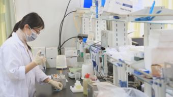 互联网守护首都市民食品安全 食品互联网销售的新挑战与对策